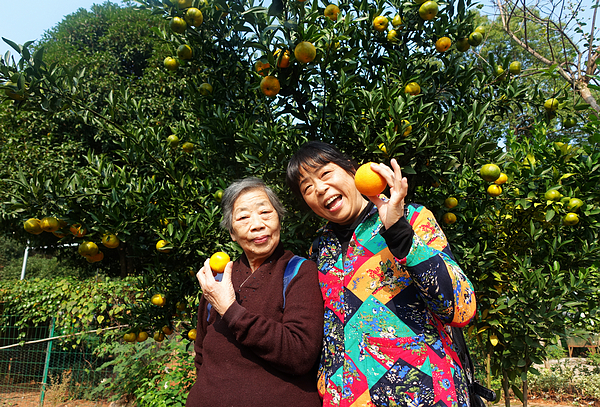 關(guān)懷常在，最暖重陽(yáng)——學(xué)校組織離退休教職工秋游活動(dòng)