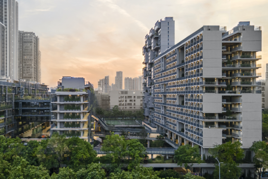 深圳國際交流書院