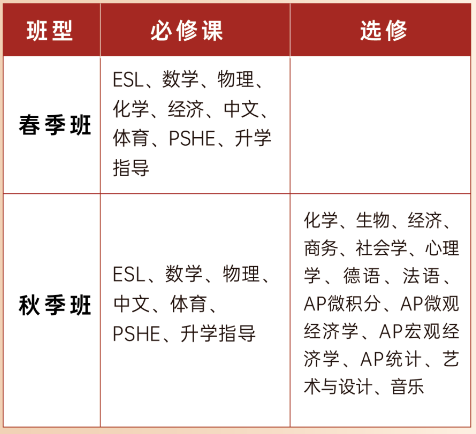 武漢經(jīng)開外國語學校國際高中2025年春季招生簡章