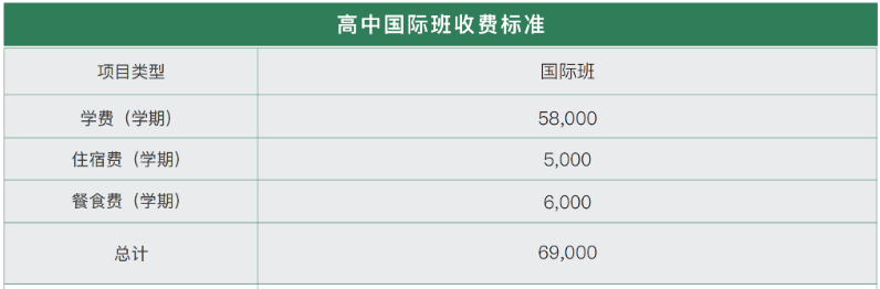 武漢海淀外國語實驗學校國際高中2024招生簡章